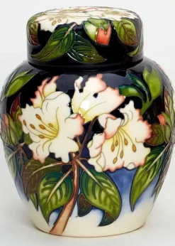Clearance Moorcroft Jessica De Rothschild Ginger Jar 769/6 - Ltd Ed 40 Moorcroft