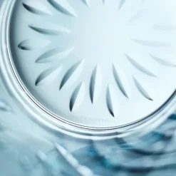 New Waterford Crystal 2024 Winter Wonders Holly Blue DOF - Ltd Ed Christmas